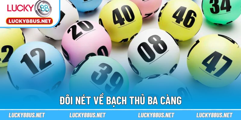 Đôi nét về Bạch thủ ba càng