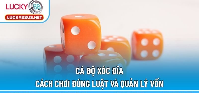 Cá độ xóc đĩa