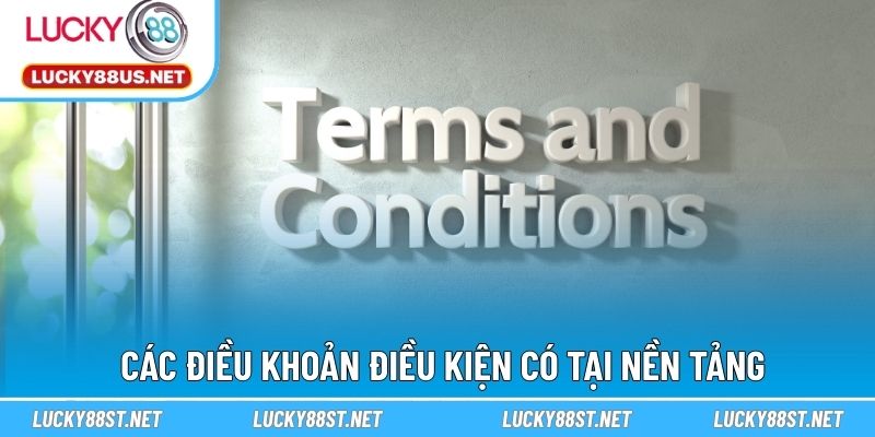 Các điều khoản điều kiện có tại nền tảng
