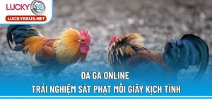 Đá gà online