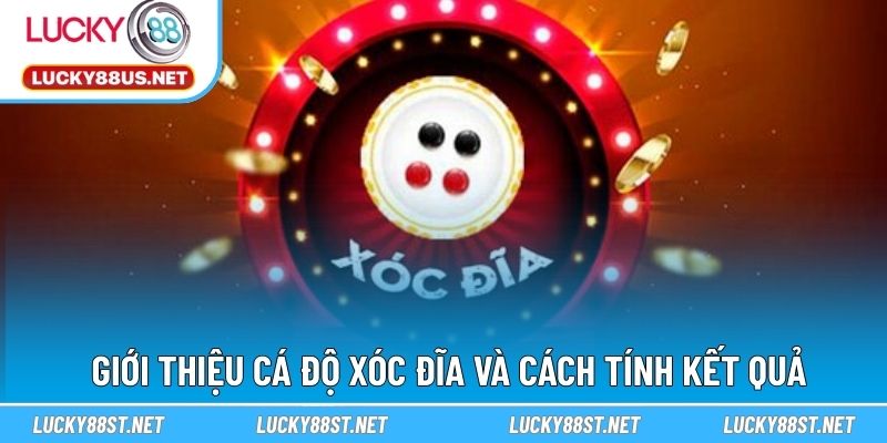 Giới thiệu cá độ xóc đĩa và cách tính kết quả