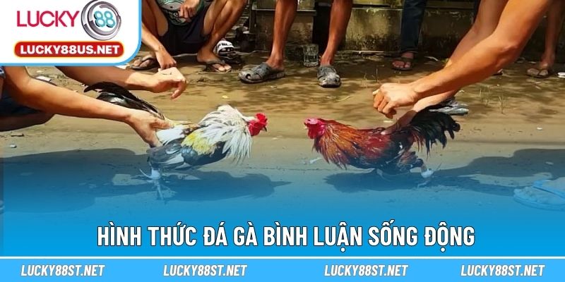 Hình thức đá gà bình luận sống động