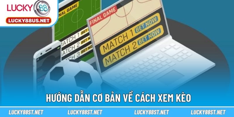 Hướng dẫn cơ bản về cách xem kèo