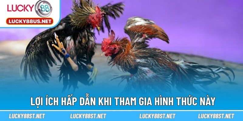 Lợi ích hấp dẫn khi tham gia hình thức này