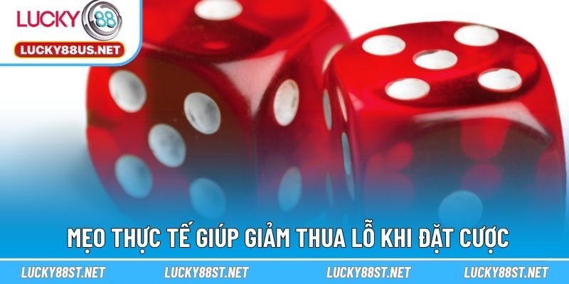 Mẹo thực tế giúp giảm thua lỗ khi đặt cược