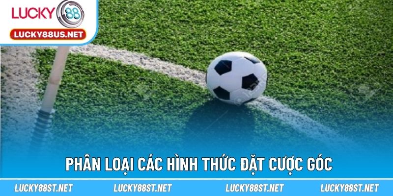 Phân loại các hình thức đặt cược góc